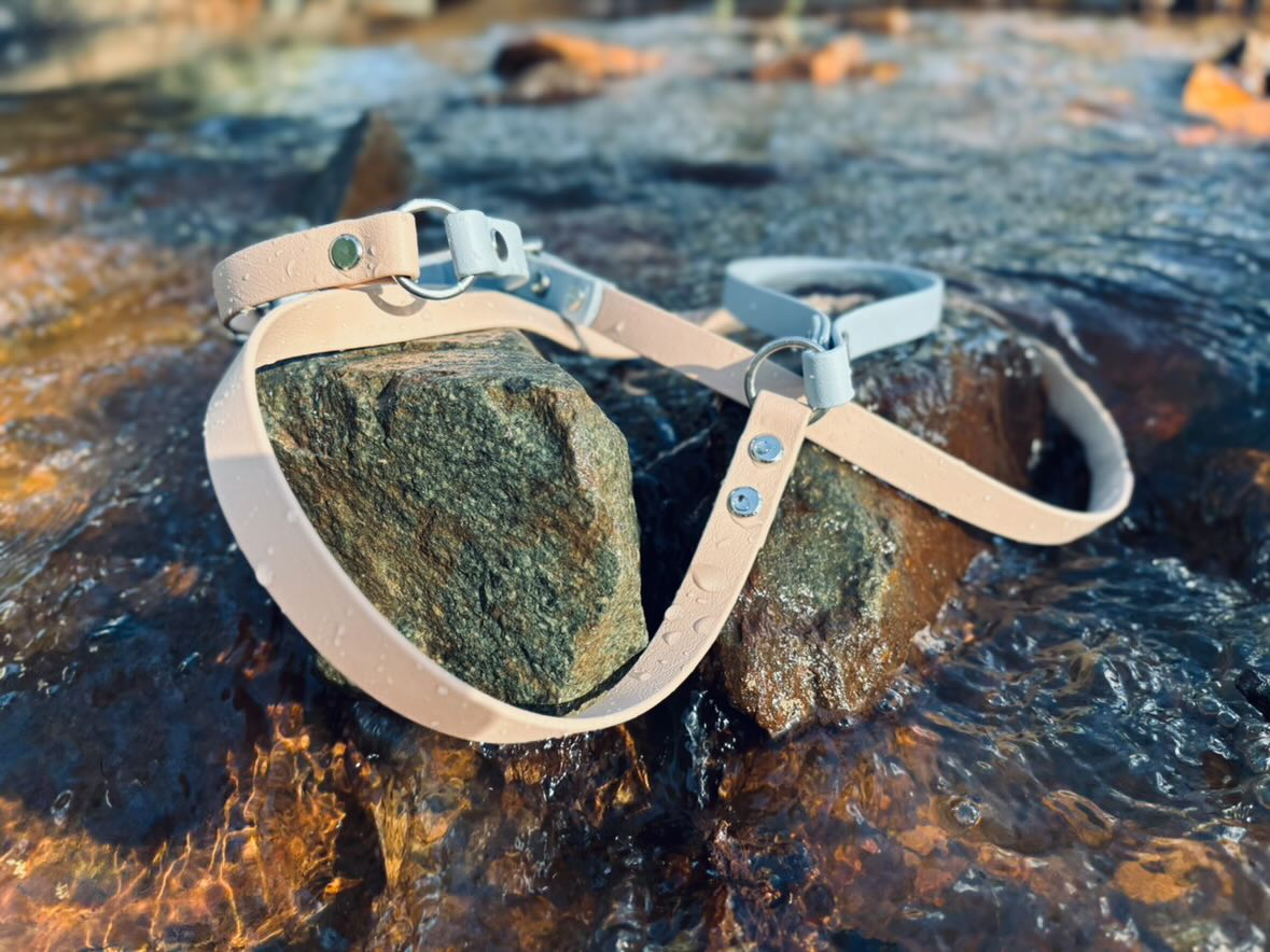 BioThane® (16mm) CUSTOM Two-Toned Style Lead