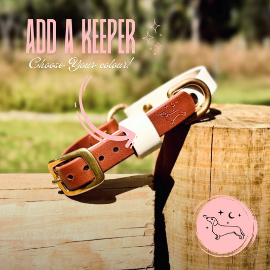 BioThane® (19mm) Classic Collar