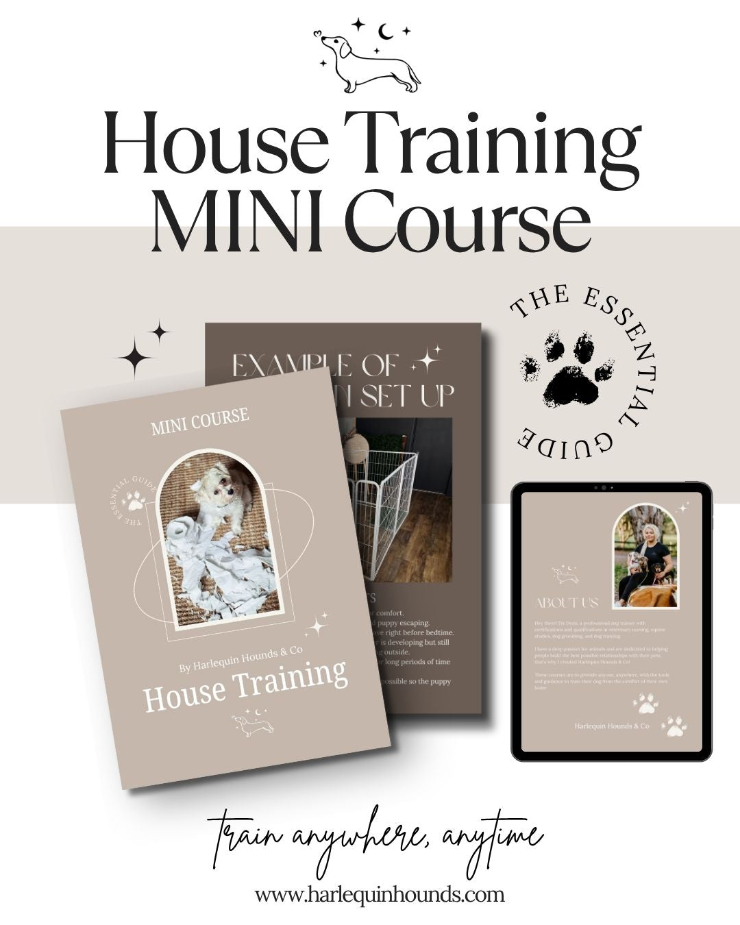 Puppy Essentials - House Breaking Course
