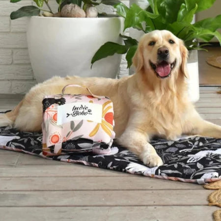 Dog Travel & Training Mat | Sunset Cockatoo