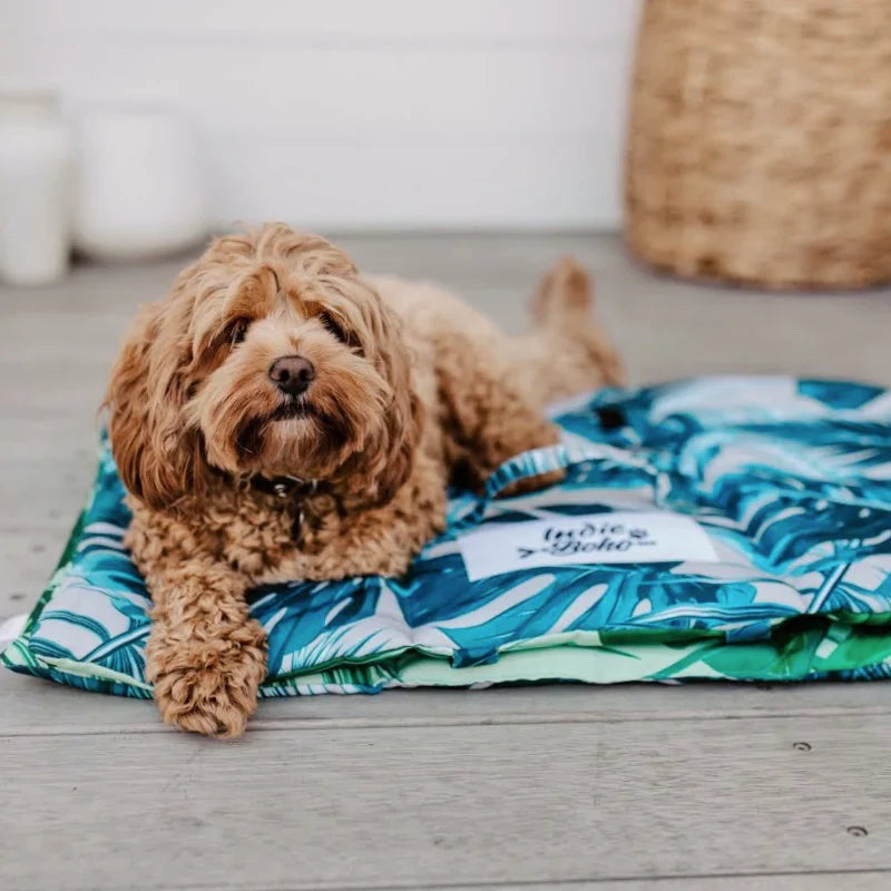 Dog Travel & Training Mat | Tropical Leaves