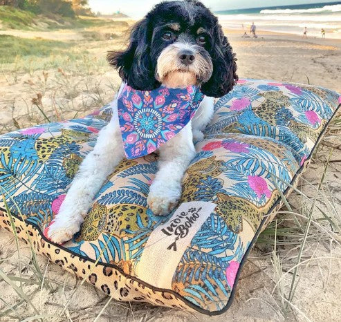 Indoor Dog Bed | Leopard Luxe