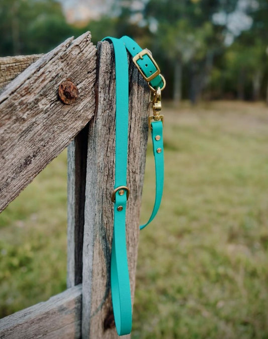 Waterproof BioThane® Classic Lead