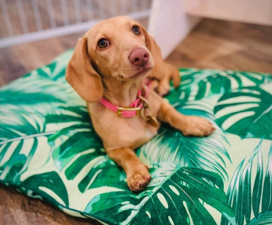 Indoor Dog Bed | Tropical Leaves