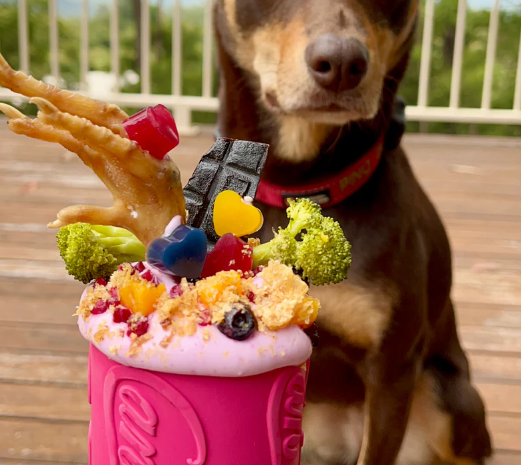 Puppy Soda Can Toy (for puppies!)